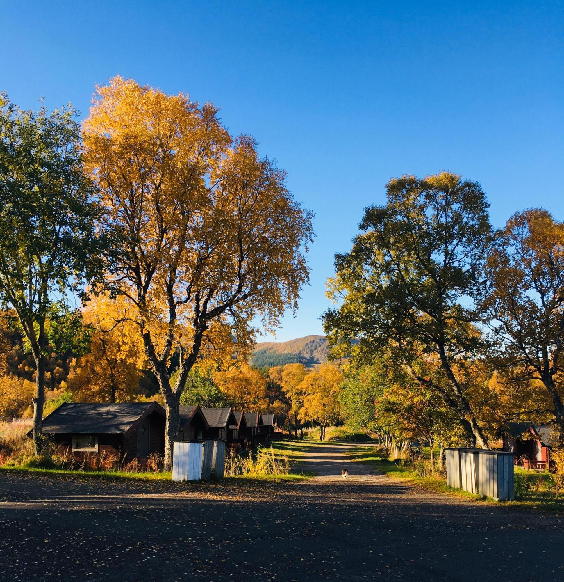 Sortland Camping Og Motell As ภายนอก รูปภาพ