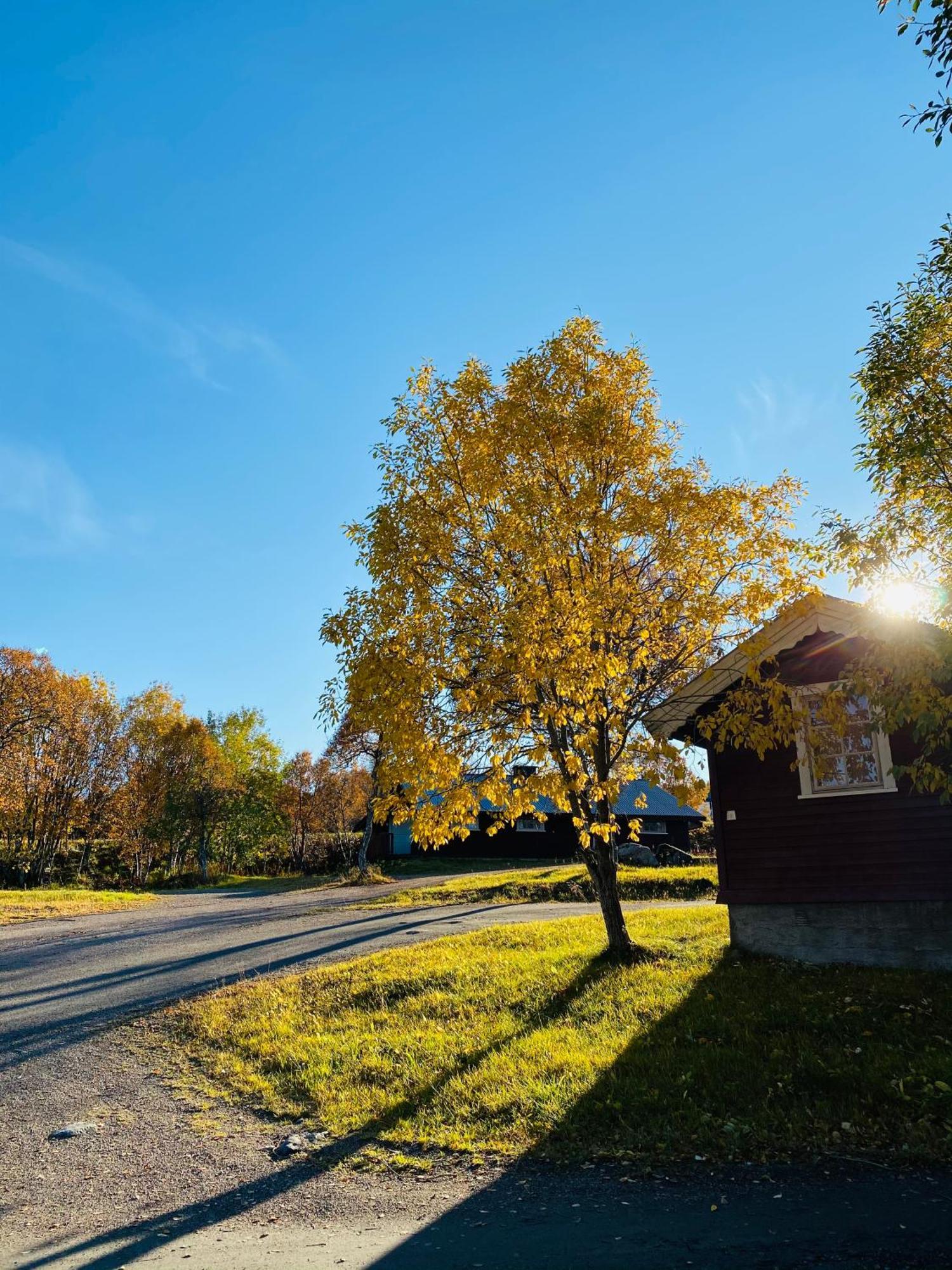 Sortland Camping Og Motell As ภายนอก รูปภาพ