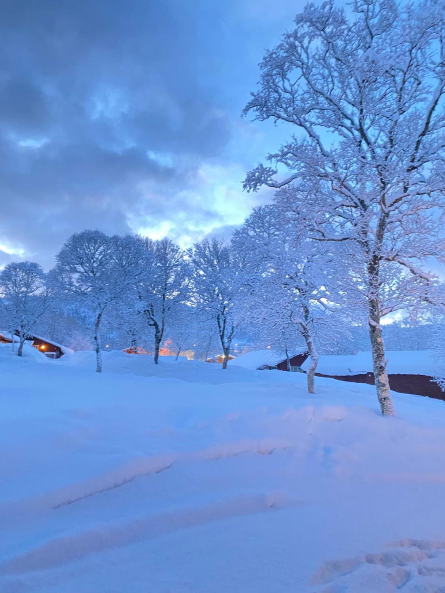 Sortland Camping Og Motell As ภายนอก รูปภาพ