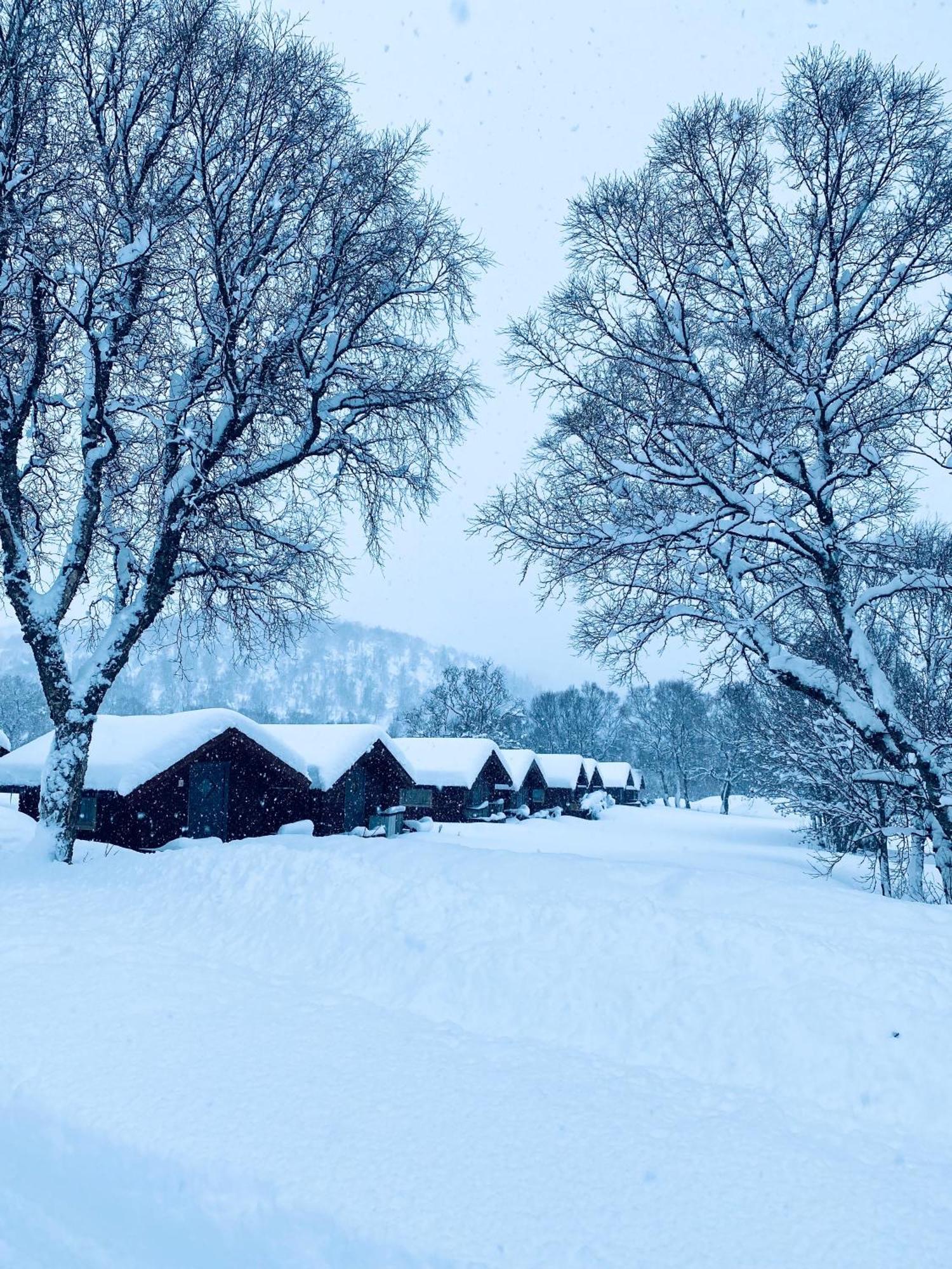 Sortland Camping Og Motell As ภายนอก รูปภาพ